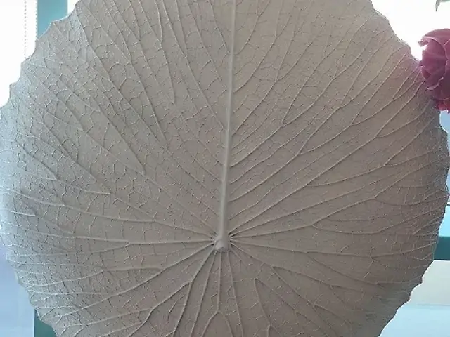 Vase lotus leaf WP H80 W25.5 W