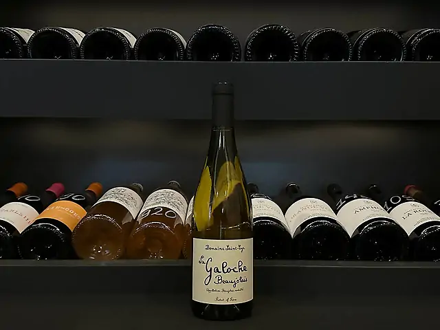 Domaine Saint-Syr, La Galoche Blanc, 2023 - Beaujolais