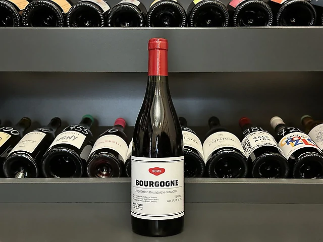 Louis Chenu, Bourgogne Rouge, 2022 - Bourgogne