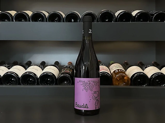 Ramon Jane, Baudili Negre, 2022 - Spain, Penedés