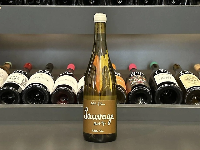 Domaine Saint-Сyr, Sauvage, 2022 - Beaujolais