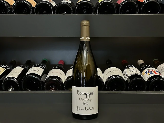 Antoine Lienhardt, Bourgogne Chardonnay, 2022 - Bourgogne