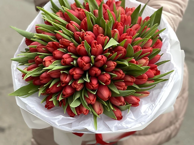 101 тюльпан красные ❤