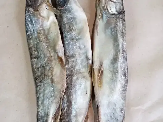 Щука сушена ціла велика