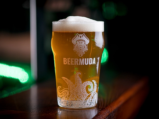 Пиво Special IPA 1 л