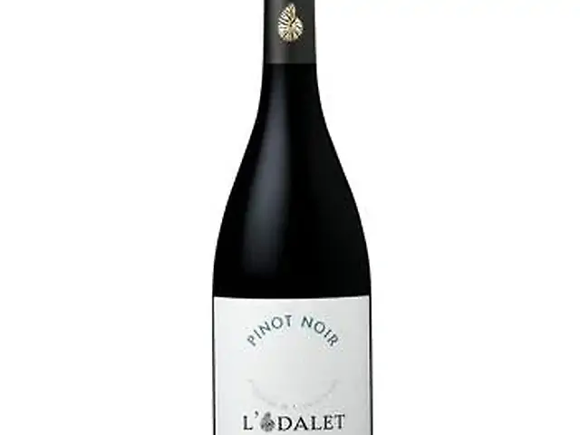 Вино виноградне натуральне сухе червоне Піно Нуар, L'Odalet 0,75л 12,5%