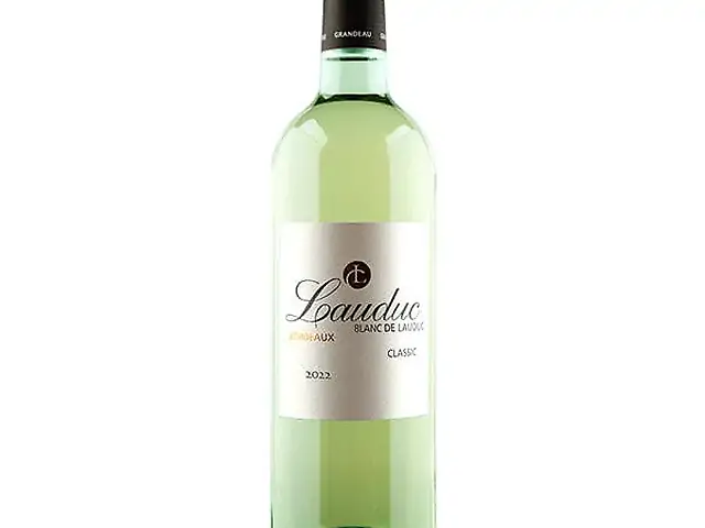 Вино біле сухе Blanc de Lauduc 