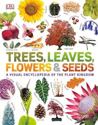 Our World in Pictures Trees, Leaves, Flowers and Seeds