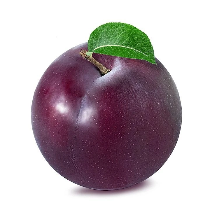 Слива Black diamond