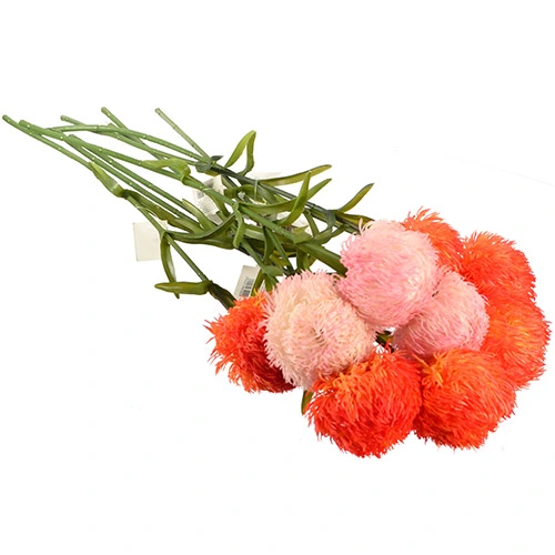 Штучні рослини Clivia miniata 60см