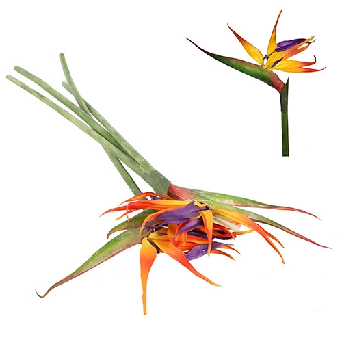 Штучна рослина Strelitzia reginae 82см