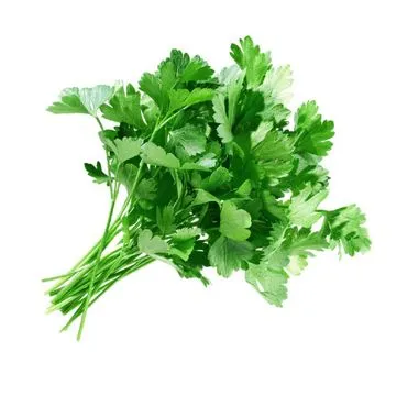 Петрушка свіжа
