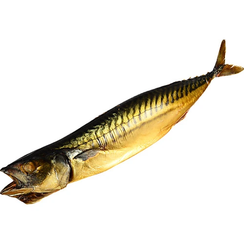 Скумбрія Green Marine ц.р. х.к. 400-600