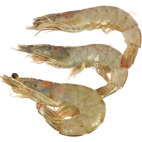 Креветки королівські в панцирі з головою 70/80, 1кг