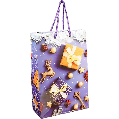 Пакет паперовий ПБС 255х170х70