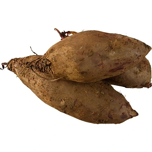 Буряк циліндр