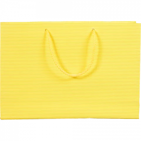 Пакет под. Didie 240х340х90 гофро