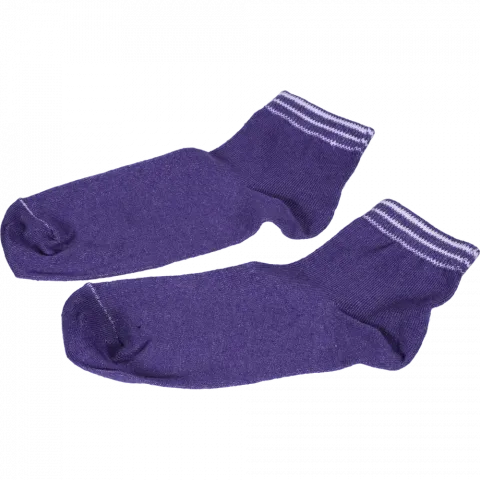 Шкарпетки жін. Golfo Comfort 12003 р.23-25 бузок