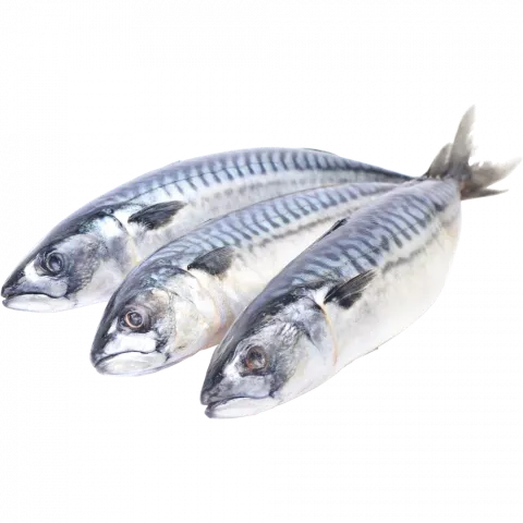 Риба Скумбрія с/м ваг. 400-600