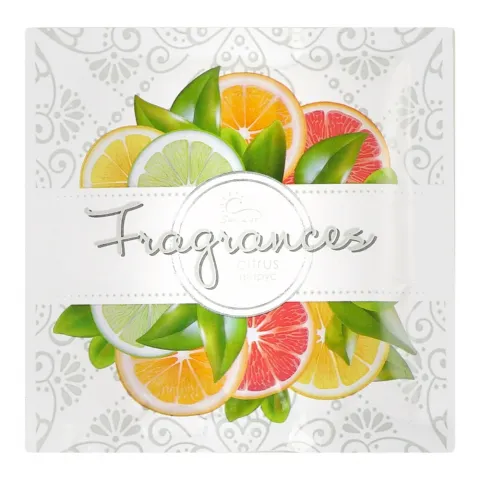Саше Sun Lux 6 г освіж. повітря Fragrances Цитрус