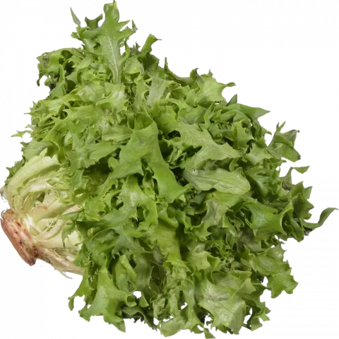 Салат Фрізе (Україна) шт