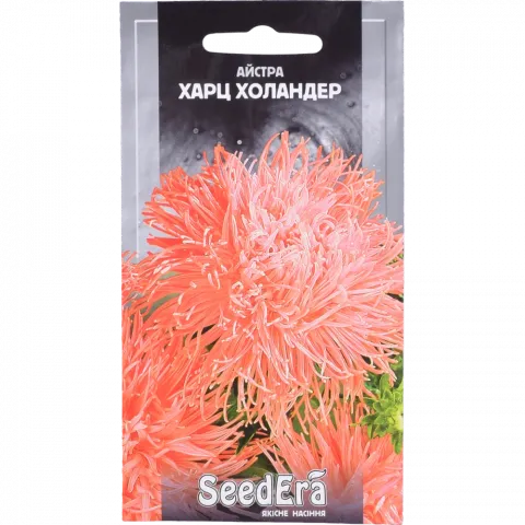 Насіння Seedera Квіти Айстра Високоросла Харц Холандер 0,25 г